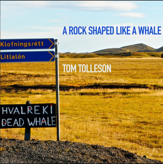A Rock Shaped Like a Whale by Tom Tolleson